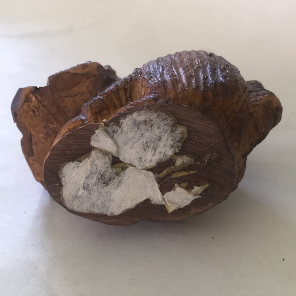 Hand Carved Racoon - Picture 5 of 7